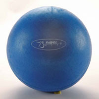 FIT BALL - Joel Harper Fitness